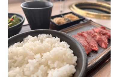 様々な目的別の食べ放題ランチを解説！人気の理由や価格のバランスとは