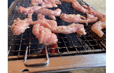 芝公園駅周辺での焼肉ランチで人気急上昇中の店と満足度の高いメニューのポイント