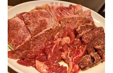 焼肉を楽しむ平日ランチで満足度を高める食べ放題と注文の工夫について