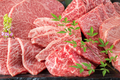 厳選された肉